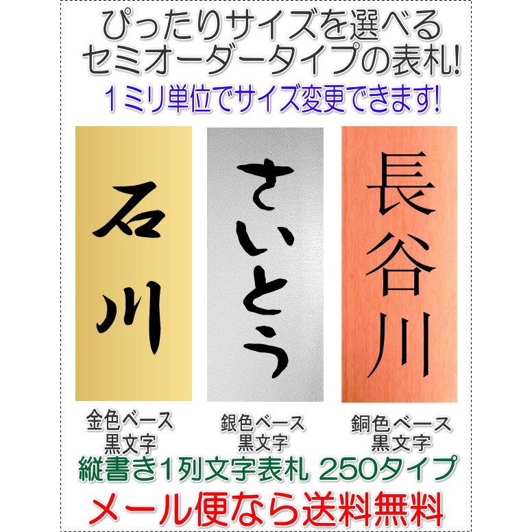 サイズ変更できるアクリル長方形表札一列L200タテ文字金銀銅黒文字
