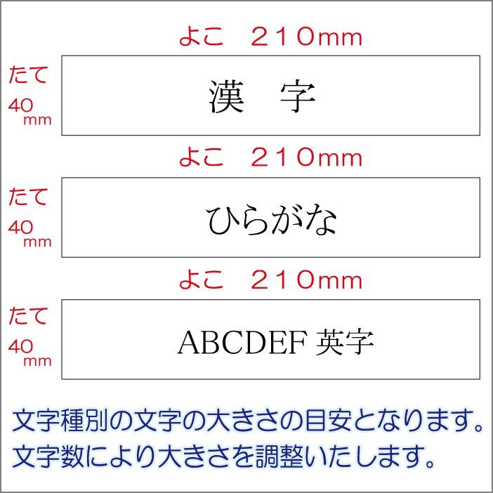 マンション 団地 集合住宅用表札 アクリルプレート ジャストサイズAタイプ 210X40mm R2001 |  | 04