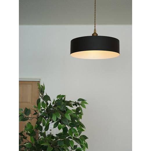 ペンダントライト 球体型 E26 送料無料 鉄製球状 ペンダントライト E26口金 本体のみ 2種取付