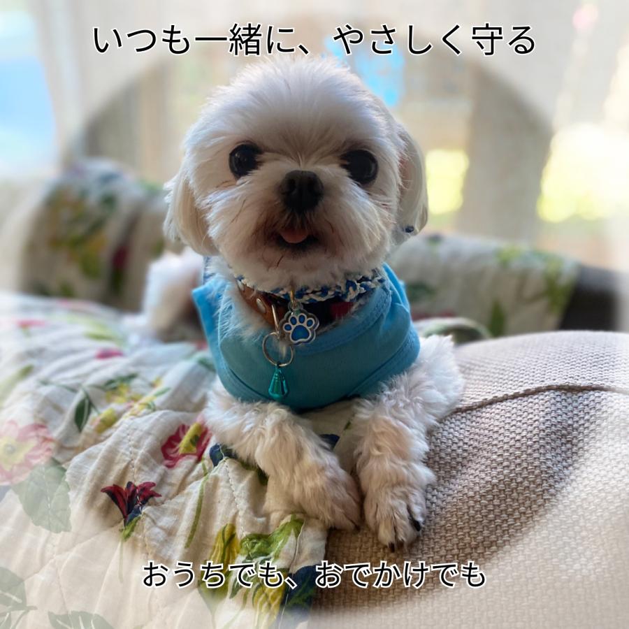 ペット お守り 首輪タイプ 10個セット 犬 猫 肉球ネームプレート付き 編み紐 交通安全 健康長寿 まとめ買い 業務用 施設 イベント_5