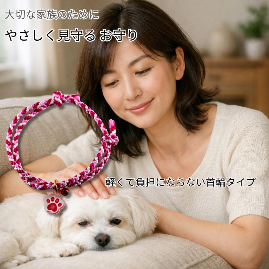 ペット お守り 首輪タイプ 10個セット 犬 猫 肉球ネームプレート付き 編み紐 交通安全 健康長寿 まとめ買い 業務用 施設 イベント_10