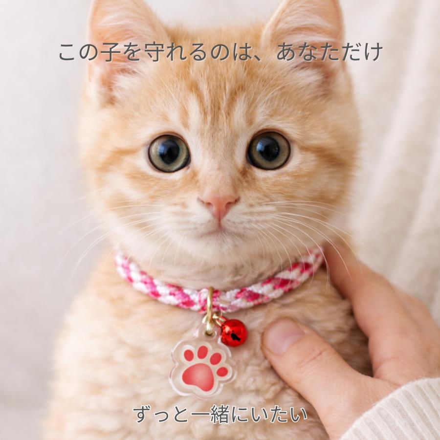 GOOD TIME / ショッピング ペット お守り 首輪タイプ 犬 猫 肉球ネーム