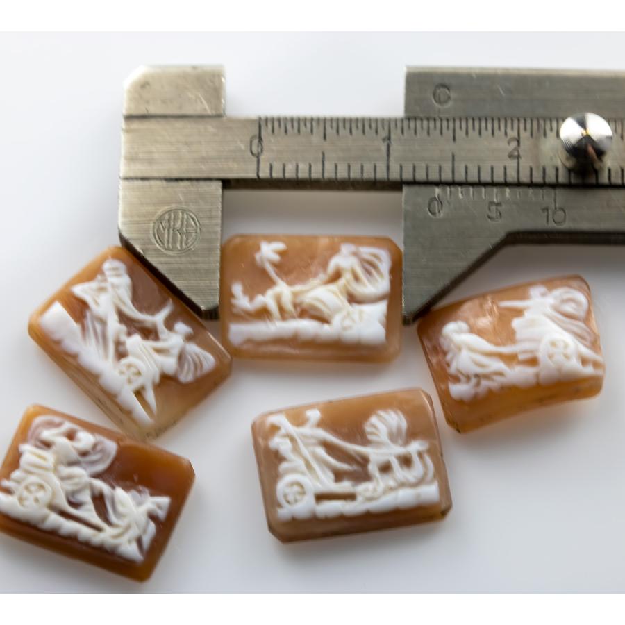 シェルカメオ カメオジュエリー 5個セット 宝石ルース 裸石