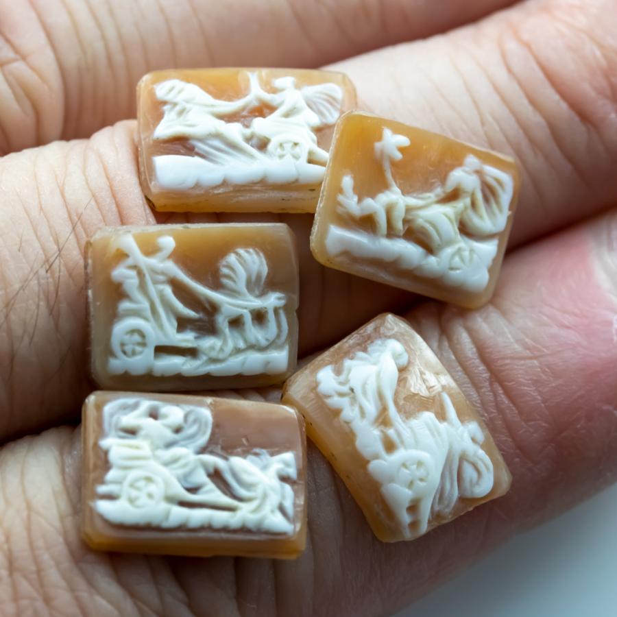 シェルカメオ カメオジュエリー 5個セット 宝石ルース 裸石