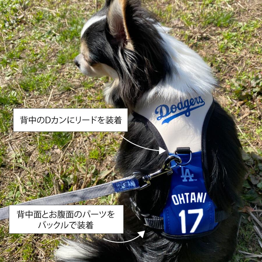 FANTASY WORLD（ファンタジーワールド） 大谷翔平選手モデル 犬用
