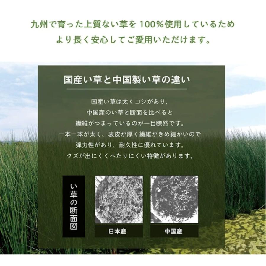 い草枕 角枕 日本製 い草まくら ござ枕 畳枕 高さが変わる 30×15cm 国産 夏用 寝具 枕 自然素材 さらさら 消臭 シンプル 健康 まくら |  | 07