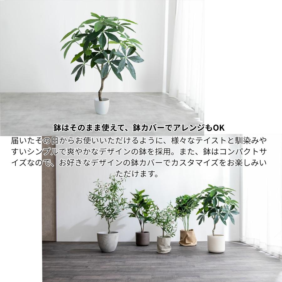 フェイクグリーン パキラ 高さ90cm | 光触媒 消臭 抗菌 空気清浄効果の