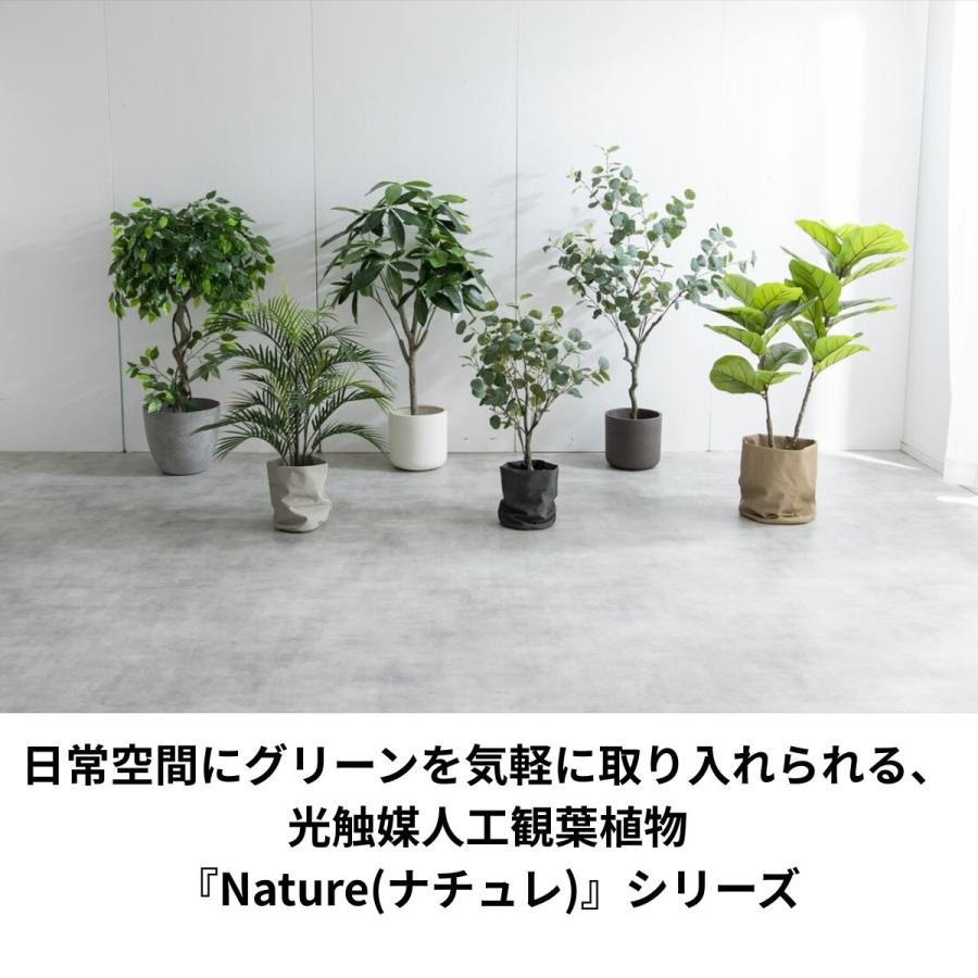 フェイクグリーン パキラ 高さ90cm | 光触媒 消臭 抗菌 空気清浄効果の