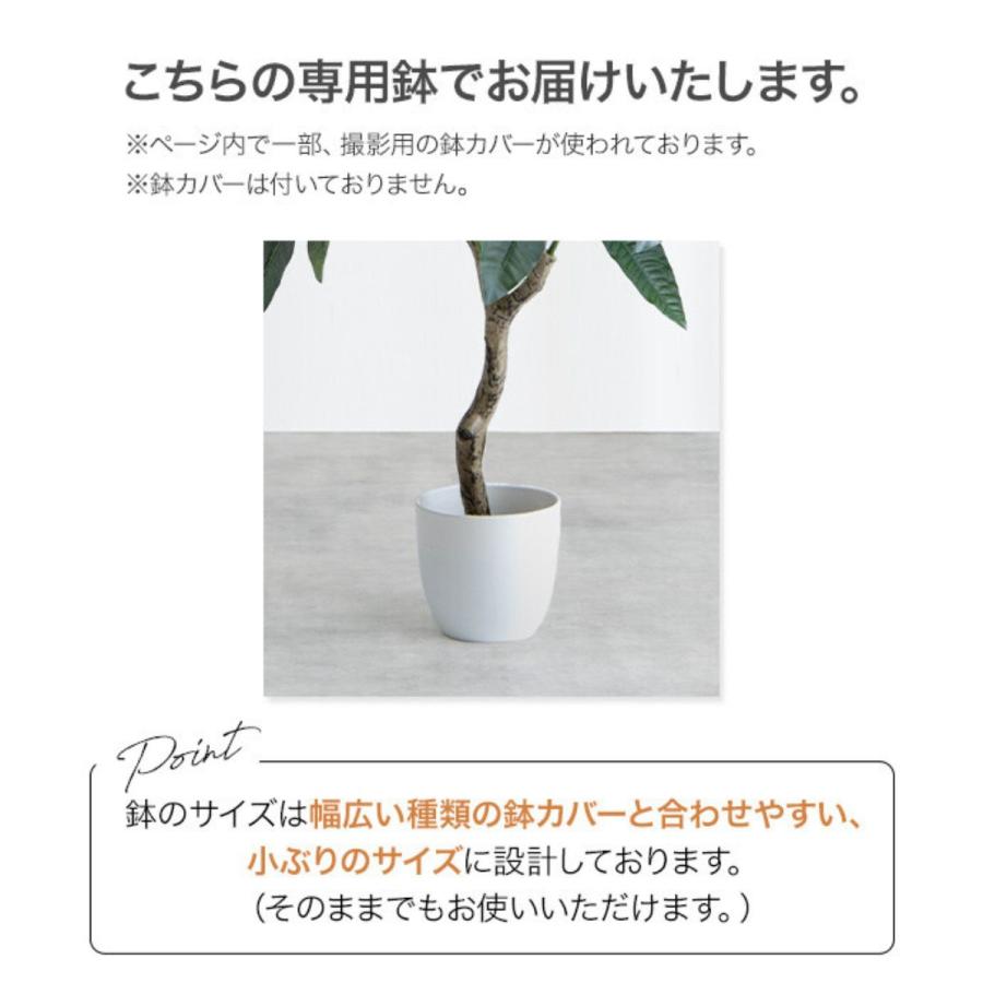 フェイクグリーン パキラ 高さ90cm | 光触媒 消臭 抗菌 空気清浄効果の 