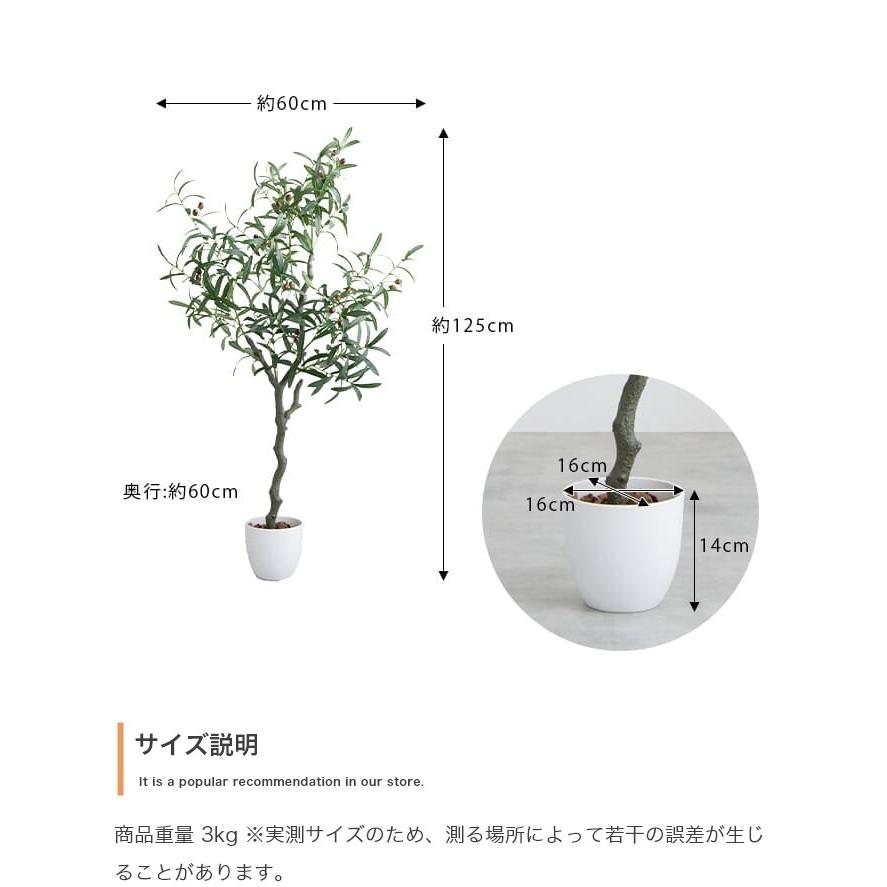 フェイクグリーン オリーブ 高さ125cm 光触媒 人工観葉植物 空気清浄