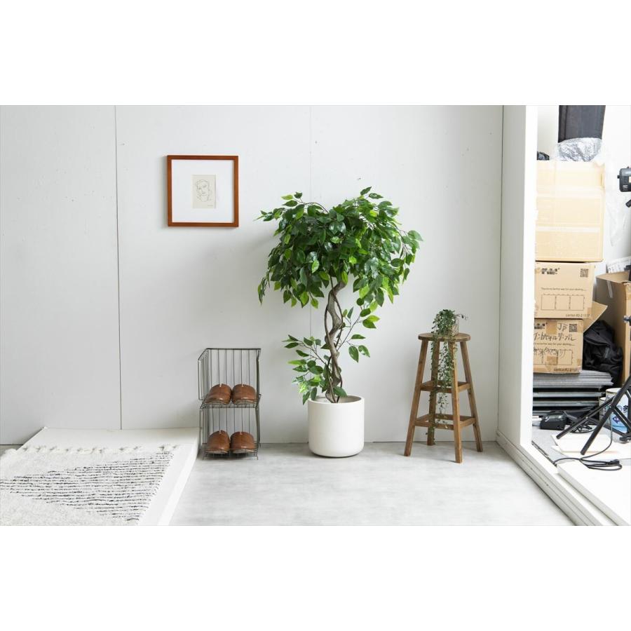 送料無料】【高さ120cm】Nature 光触媒人工観葉植物 ベンジャミン