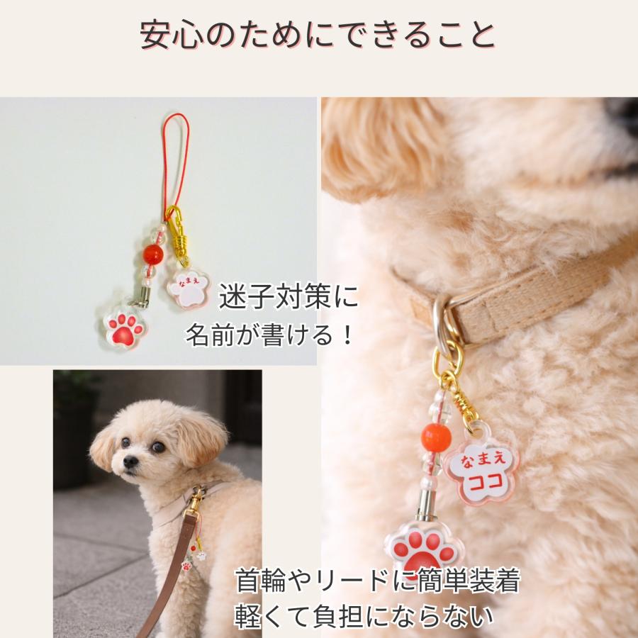 破格！★プレゼント有★　ドラゴンボール　ペット用　バッグ　リード 破格！☆プレゼント有☆ ドラゴンボール ペット用 バッグ リード