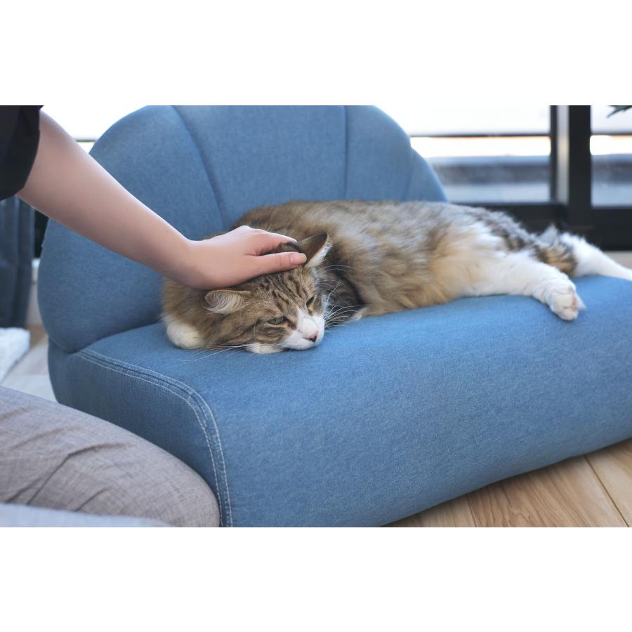 ペットソファ コットン素材ソファ コンパクト ペット 犬用ソファー 猫用ソファー うさぎ 脚付き 椅子 ローソファ かわいい ...
