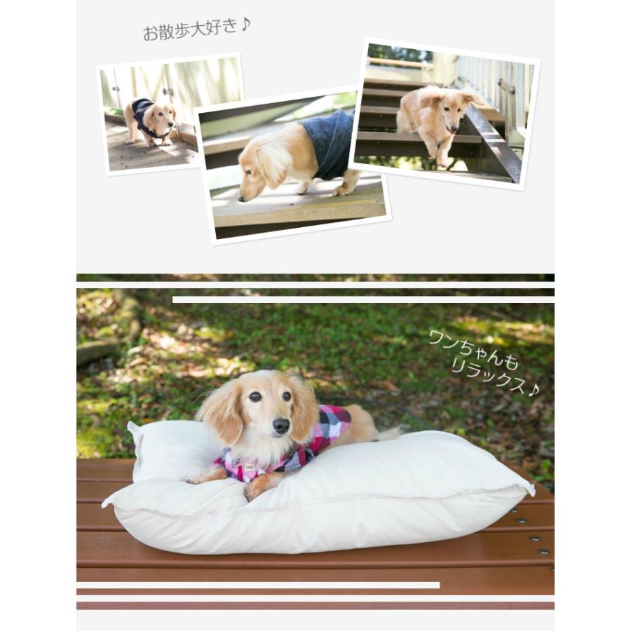 ペットベッド 犬用 猫用 ドッグ キャット クッション 50×70cm ペット用 洗える ふわふわクッション 人・ペット兼用｜gtsc｜05