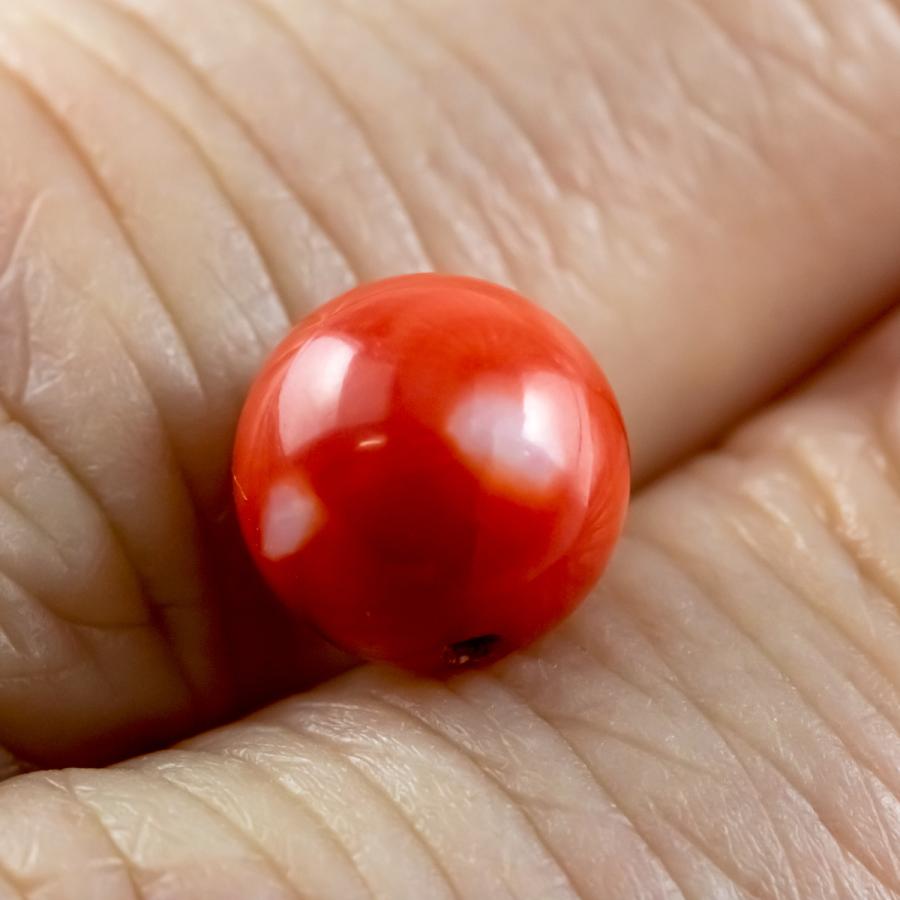 天然サンゴ 珊瑚 Coral 宝石珊瑚 宝石サンゴ 宝石ルース 天然石 