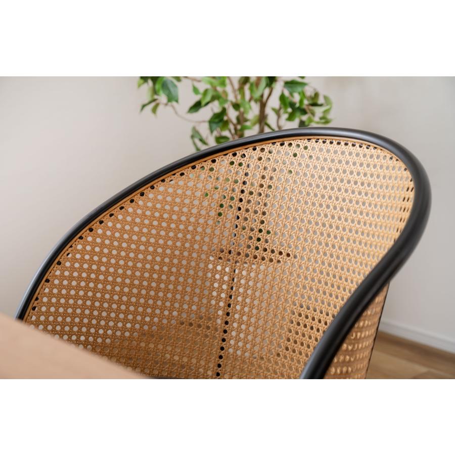 ダイニングチェア 椅子 （2脚セット） semicircleタイプ ナチュラル ラタン調 ファブリック 布地 スチール 背もたれ アームレス アジアン シンプル |  | 08