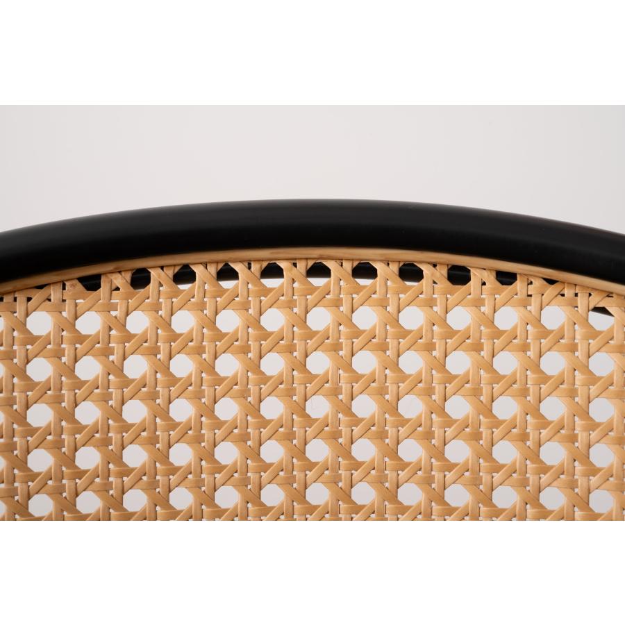 ダイニングチェア 椅子 （2脚セット） semicircleタイプ ナチュラル ラタン調 ファブリック 布地 スチール 背もたれ アームレス アジアン シンプル |  | 09