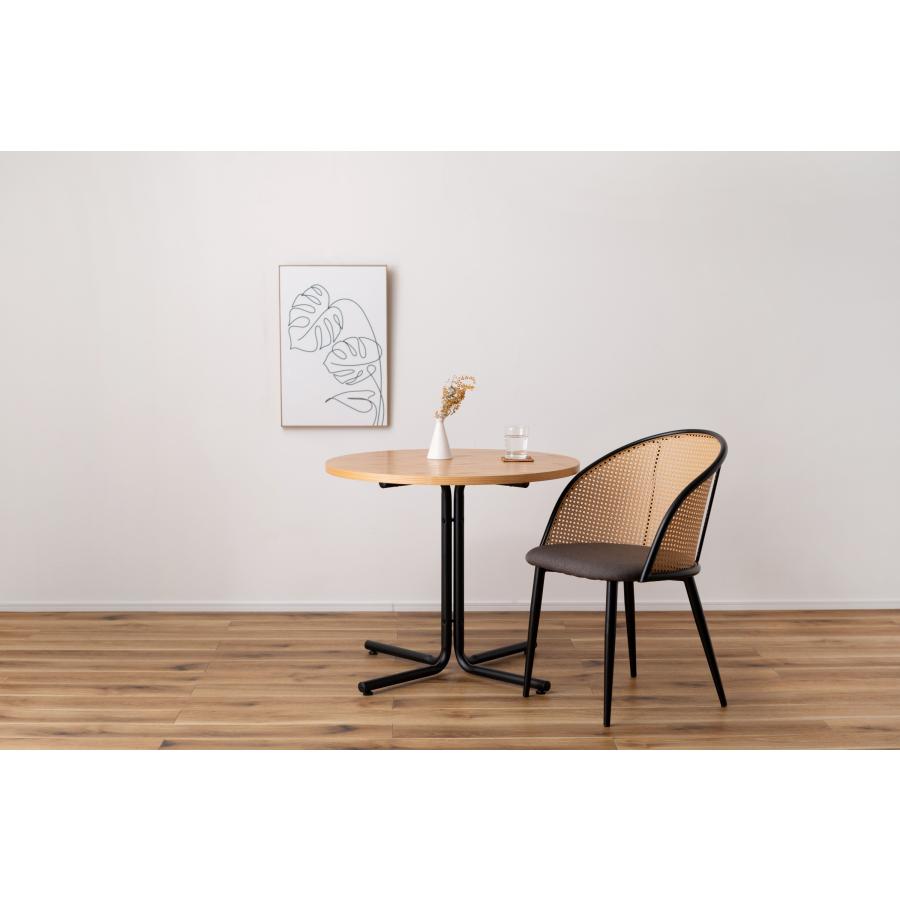 ダイニングチェア 椅子 （2脚セット） semicircleタイプ ナチュラル ラタン調 ファブリック 布地 スチール 背もたれ アームレス アジアン シンプル |  | 10