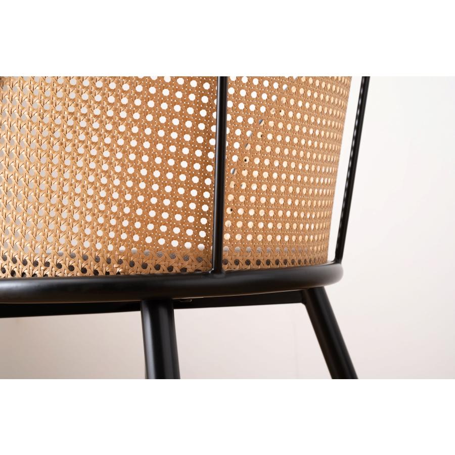 ダイニングチェア 椅子 （2脚セット） semicircleタイプ ナチュラル ラタン調 ファブリック 布地 スチール 背もたれ アームレス アジアン シンプル |  | 11