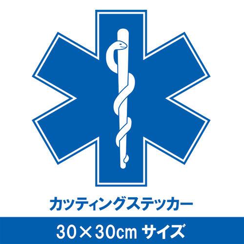 車に貼れるスターオブライフマーク30cmサイズ カッティングステッカー大きいサイズ | 