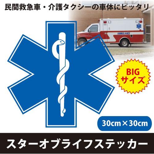 車に貼れるスターオブライフマーク30cmサイズ カッティングステッカー大きいサイズ |  | 03