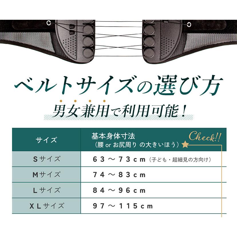 GUARDNER(健康グッズ) 【ギフト専用】ガードナーベルト ギフト GUARDNER(健康グッズ) 【ギフト専用】ガードナーベルト ギフト