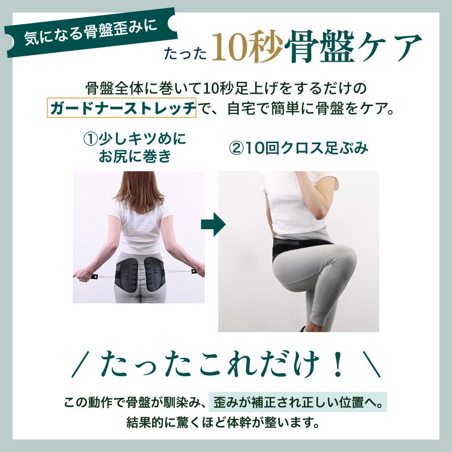 GUARDNER（ガードナー） 【ギフト専用】ガードナーベルト ギフト 敬老