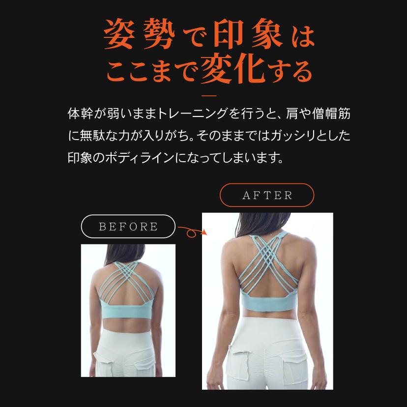 【公式】 ガードナー フィットネスベルト トレーニングベルト Lサイズ 公式】ガードナーフィットネスベルト トレーニングベルト パワー