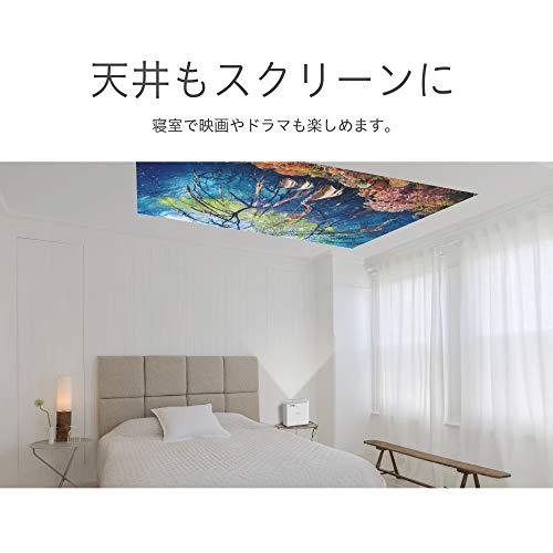 レビューを書けば送料当店負担 EPSON dreamio ホームプロジェクター