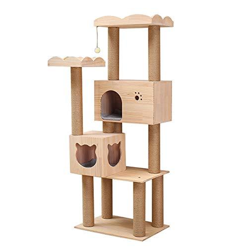 白杉、台杉『特大❗️』引き取り又は近畿地方限定配達&植込み可能。 白杉、台杉『特大❗️』引き取り又は近畿地方限定配達&植込み可能。