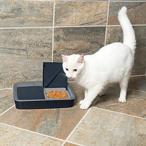 PetSafe おるすばんフィーダー デジタル2食分 バージョン2 自動給餌器 猫 中小型犬用 自動餌やり器 タイマー式 ? おるすばんフィーダー