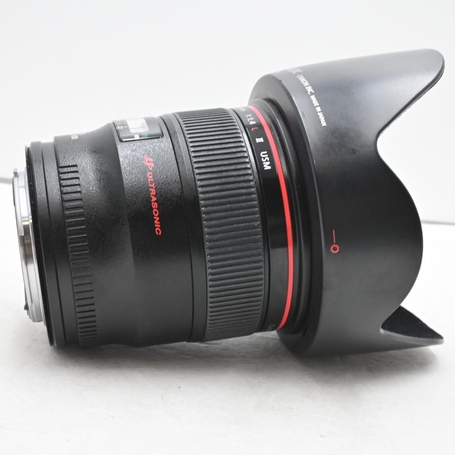 極上品Canon 単焦点広角レンズ EF24mm F1.4L II USM : グッチーカメラ
