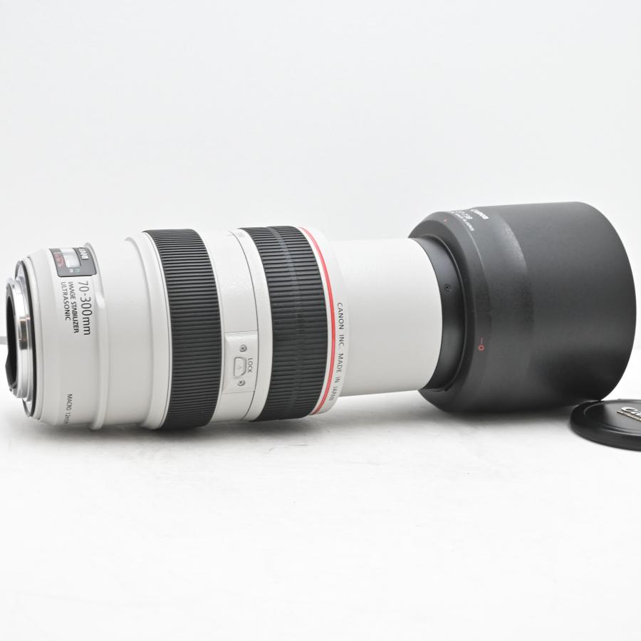 極上品Canon EFレンズ EF70-300mm F4-5.6L IS USM : グッチーカメラ