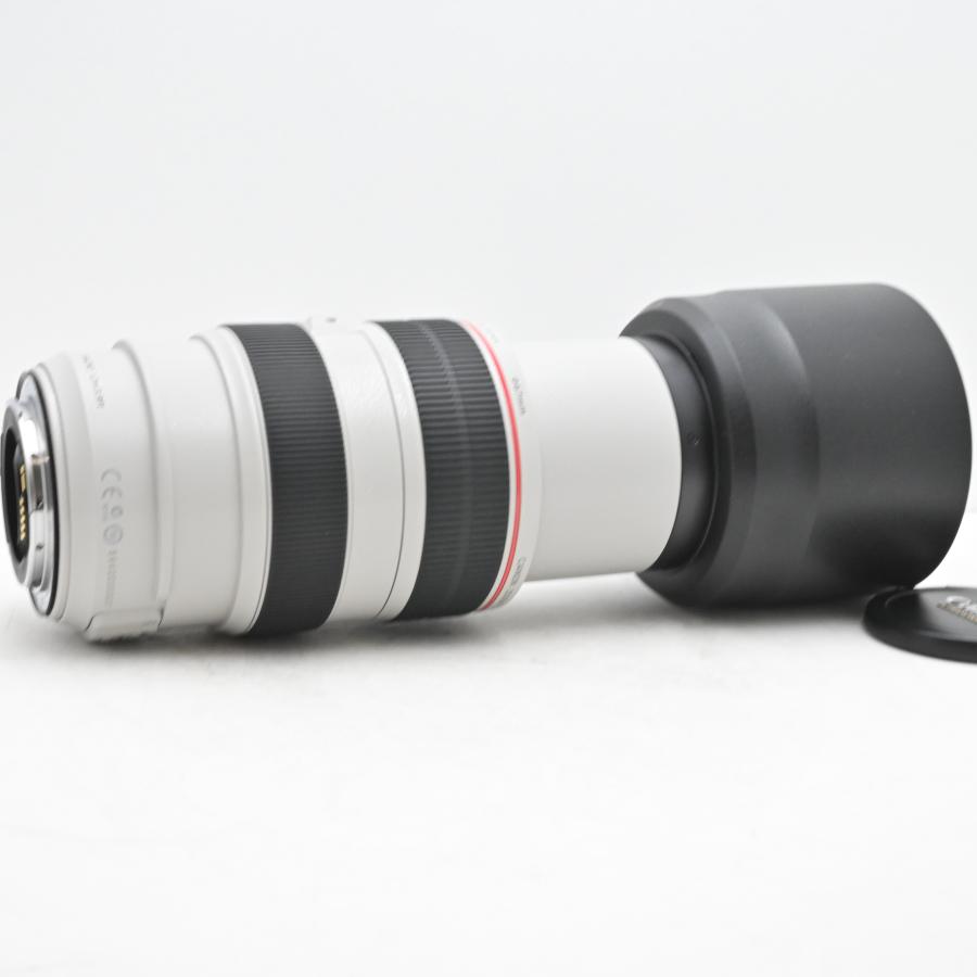 極上品Canon EFレンズ EF70-300mm F4-5.6L IS USM : グッチーカメラ