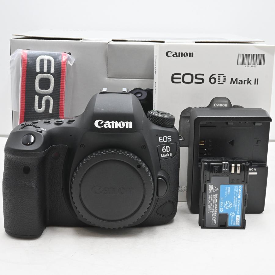 シャッター回数『4043』Canon デジタル一眼レフカメラ EOS 6D Mark II
