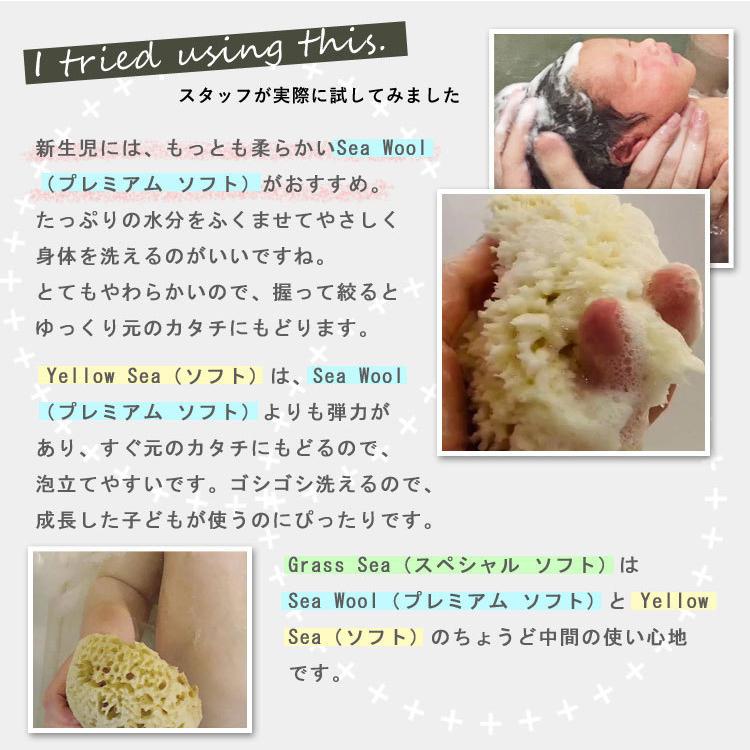 【販売終了】 ベビースポンジ ボディスポンジ 子供 Baby Buddy ベビーバディ ナチュラル バス スポンジ Grass Sea (スペシャルソフト) | Baby Buddy | 14
