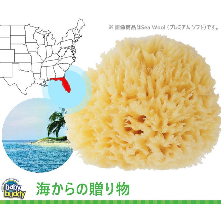 【販売終了】 ベビースポンジ ボディスポンジ 子供 Baby Buddy ベビーバディ ナチュラル バス スポンジ Grass Sea (スペシャルソフト) | Baby Buddy | 07