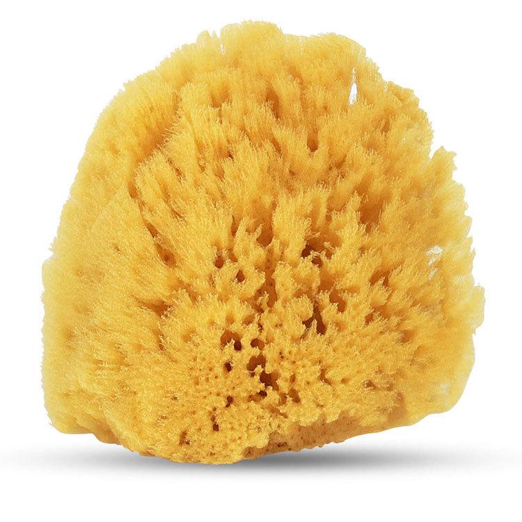 【販売終了】 ベビースポンジ ボディスポンジ 子供 Baby Buddy ベビーバディ ナチュラル バススポンジ Yellow Sea(ソフト) | Baby Buddy | 02