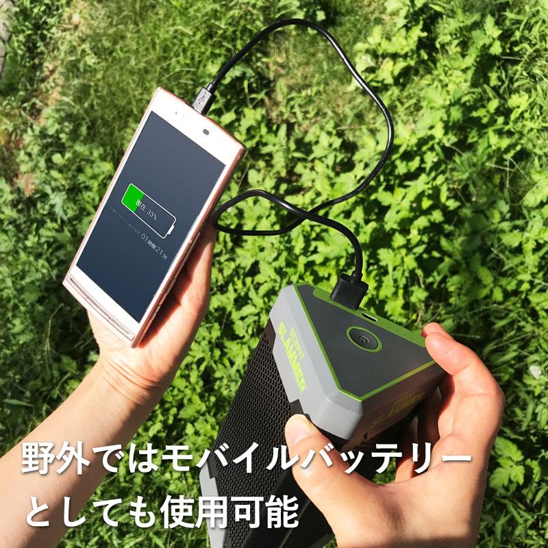 【販売終了】30％OFF セントスラマー 家庭用オゾン発生器  18畳用 35m3 30 35立方メートル ( オフィス用  空気清浄機 ポータブル )【沖縄・離島配送不可】 | ブランド登録なし | 05