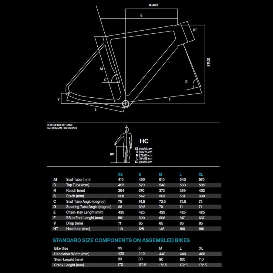BASSO PALTA FRAME SET バッソ パルタ カーボン フレームセット