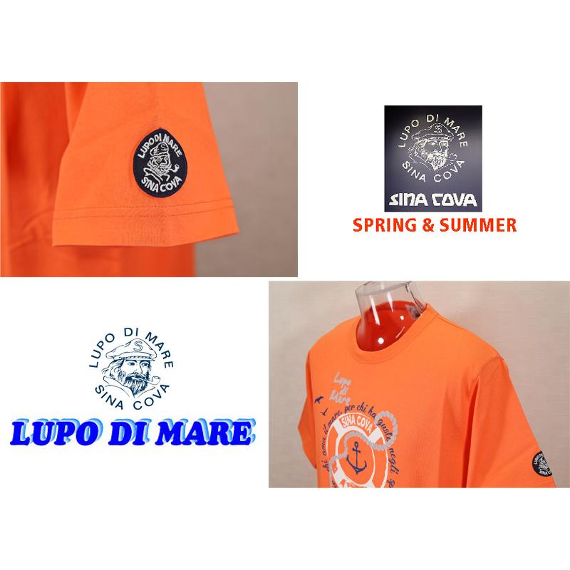 ★２０２５ 春夏　新作 ・３０%OFF・シナコバ【*001*】半袖Tシャツ＜Lサイズ・LLサイズ＞-ef182・ef183 | SINA COVA | 02