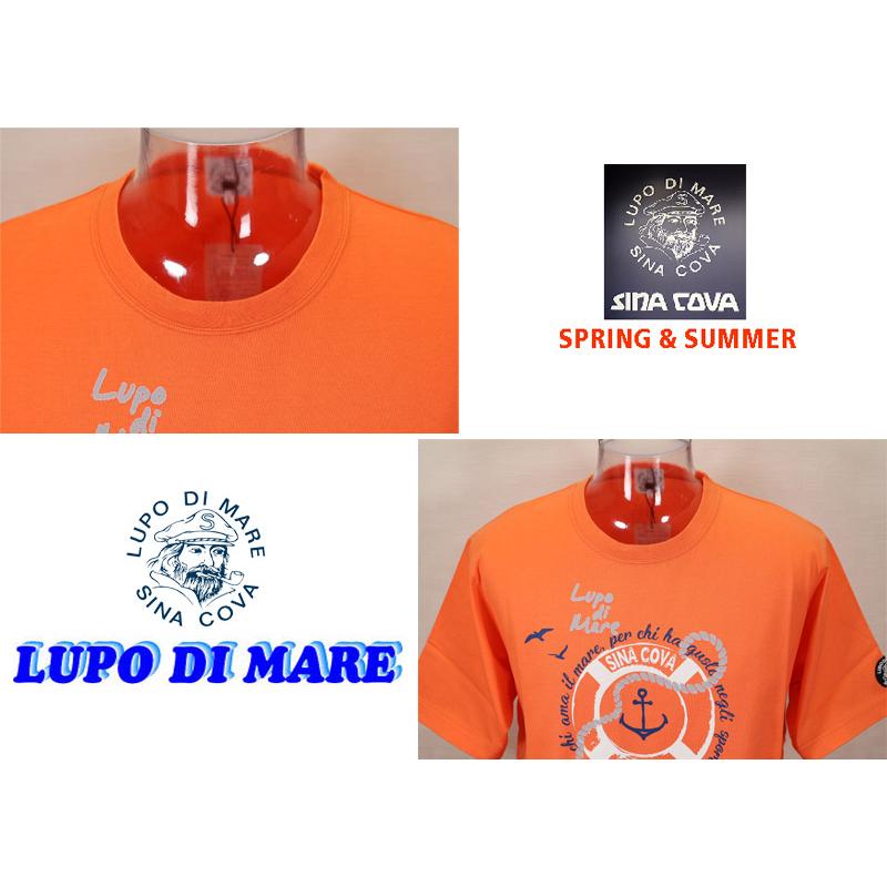 ★２０２５ 春夏　新作 ・３０%OFF・シナコバ【*001*】半袖Tシャツ＜Lサイズ・LLサイズ＞-ef182・ef183 | SINA COVA | 03