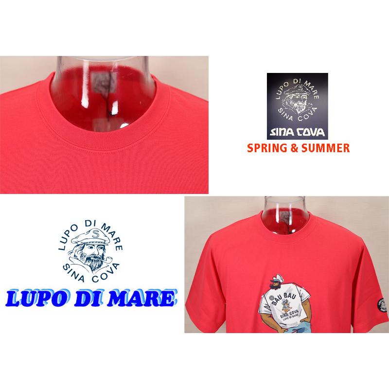 ★２０２５ 春夏　新作・３０%OFF・ シナコバ【*001*】半袖Tシャツ＜Lサイズ・LLサイズ＞-ef184・ef185 | SINA COVA | 03