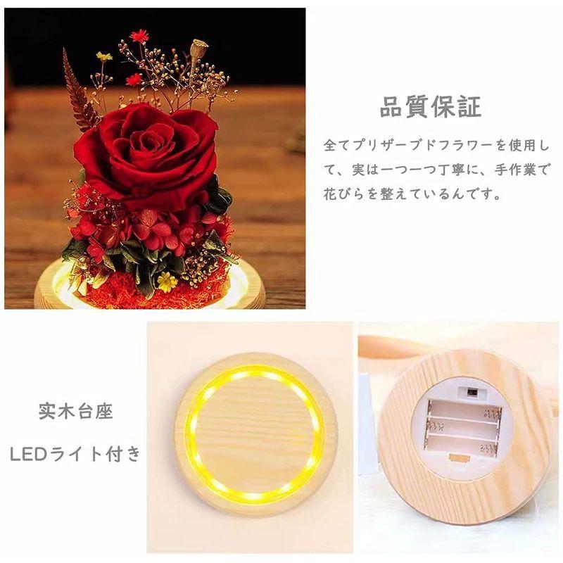 100 安い プリザーブドフラワー プレゼント 薔薇 永遠の花 ガラスポット ケース入り Ledライト付き ドライフラワー フラワーアレンジ 枯れない花 Safariwines Com
