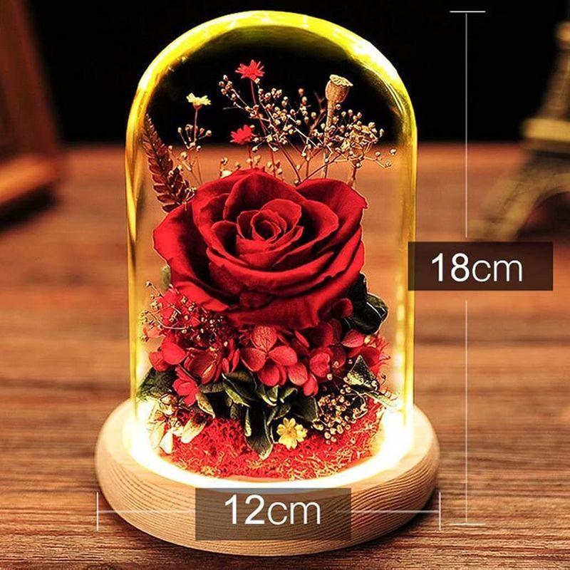 100 安い プリザーブドフラワー プレゼント 薔薇 永遠の花 ガラスポット ケース入り Ledライト付き ドライフラワー フラワーアレンジ 枯れない花 Safariwines Com