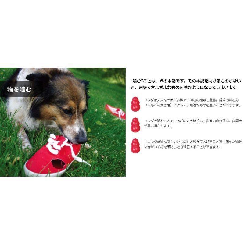 市場 Kong コング 犬用おもちゃ