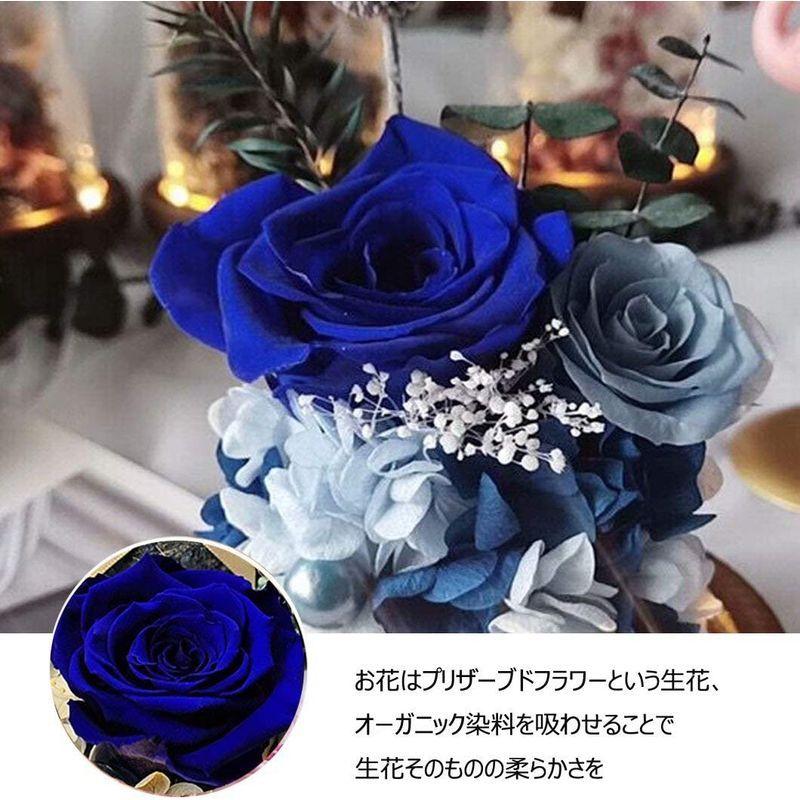 店舗良い プリザーブドフラワー バラ レッドローズ 薔薇 花 可愛い ガラスドーム Ledライト付き 木製ベース ブリザードフラワー ロマンティッ Fucoa Cl