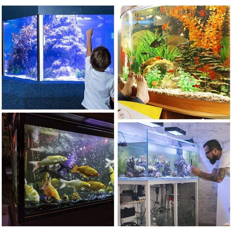 新色追加して再販 Ledmomo 水族館ポスター 62x30cm 3ｄ効果 バックスクリーン 水草 両面壁紙 水槽の背景 水槽の飾り 水槽 水族館 魚タンク Edilloperfido Com