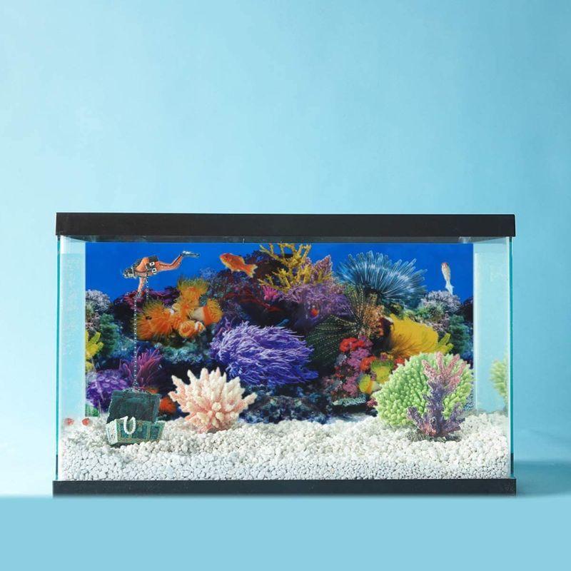 新色追加して再販 Ledmomo 水族館ポスター 62x30cm 3ｄ効果 バックスクリーン 水草 両面壁紙 水槽の背景 水槽の飾り 水槽 水族館 魚タンク Edilloperfido Com