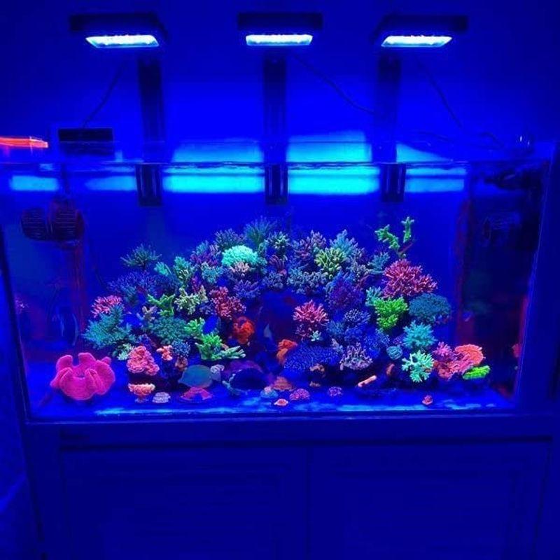 店舗情報 Hipargero水槽ライト-100watt LEDアクアリウムライト www